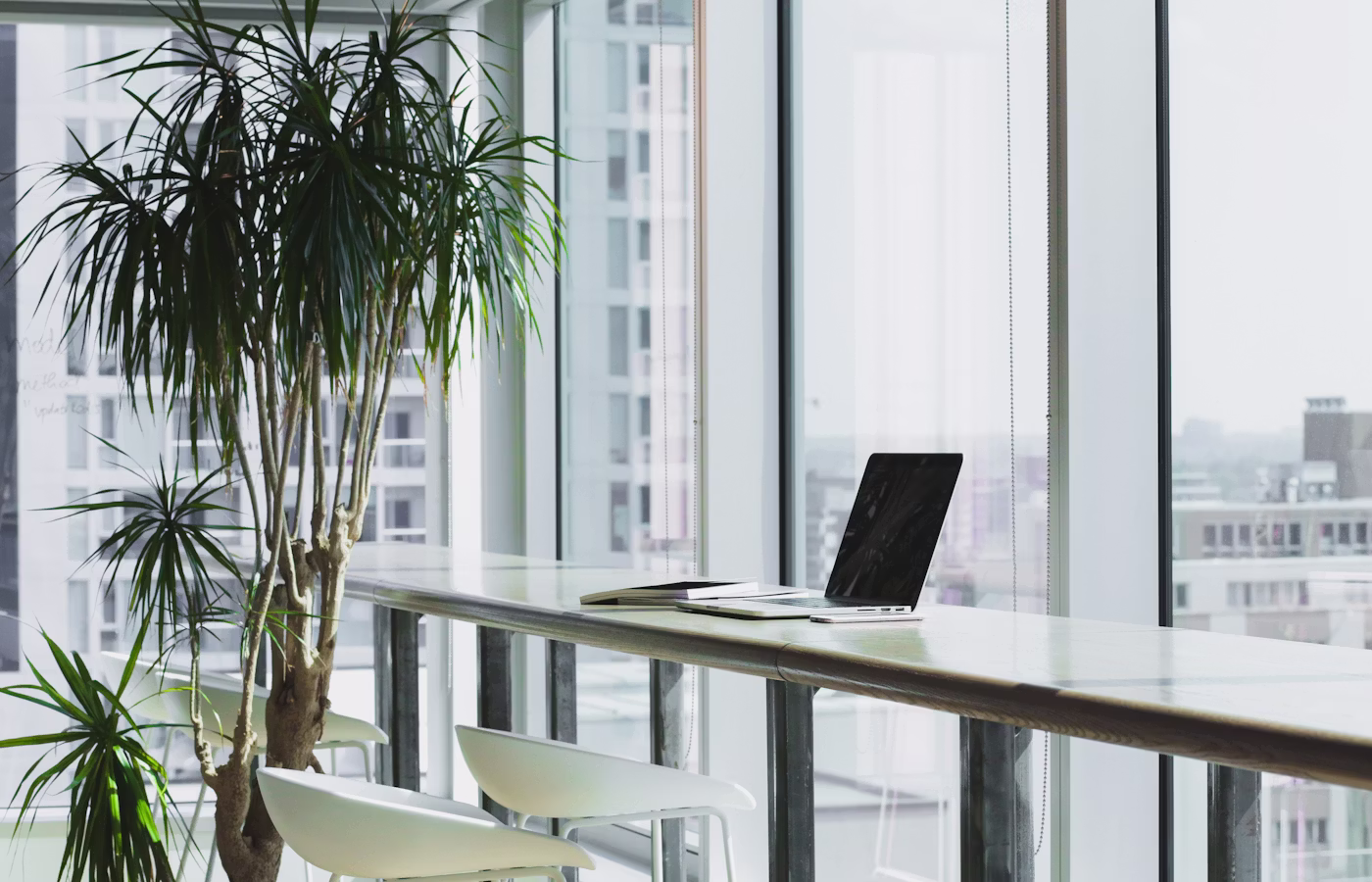 Ясность для предпринимателя